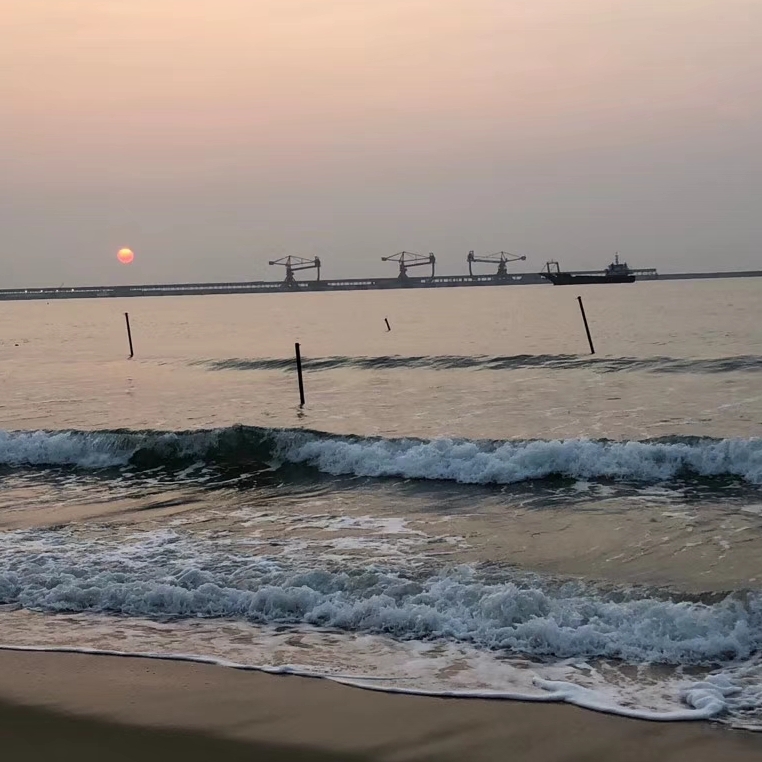 爱吃九珍果汁的大发