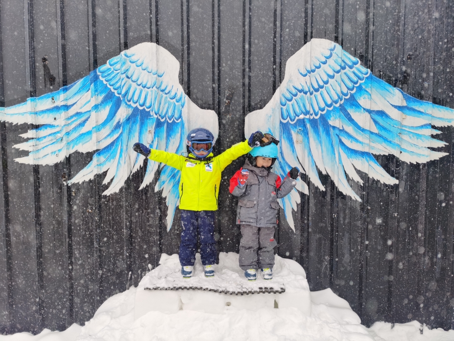 喜马拉雅上的雄鹰