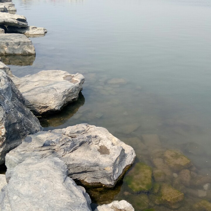 假如我是你怎么办