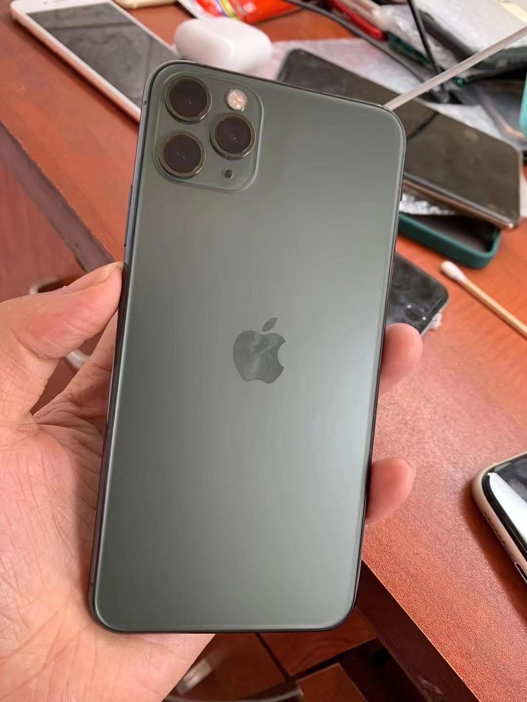 太平洋朴素的榛子