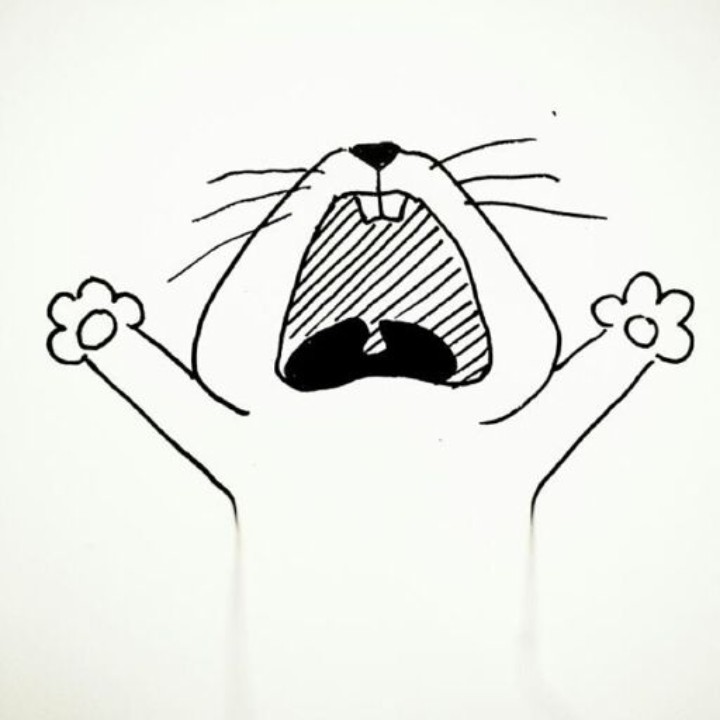 哦，还是你呀！