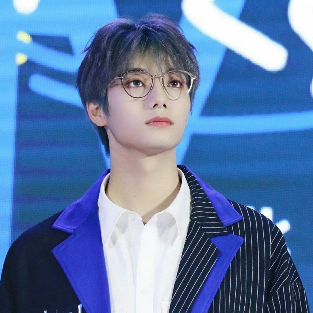 小考拉爱吃的桉树叶