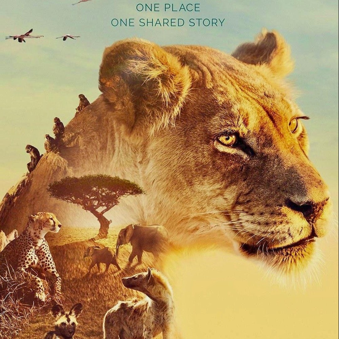 红烧肉上盖冰糖