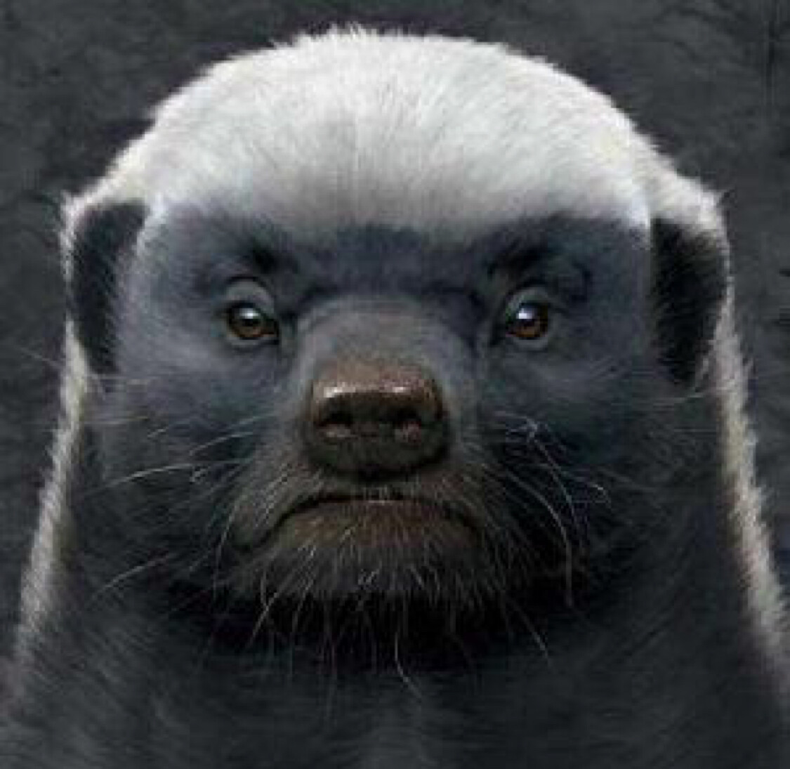 简单就快乐！！！