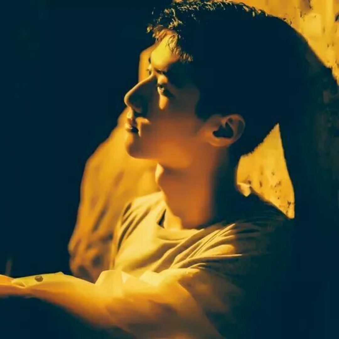 爱吃鱼豆腐的奋斗者