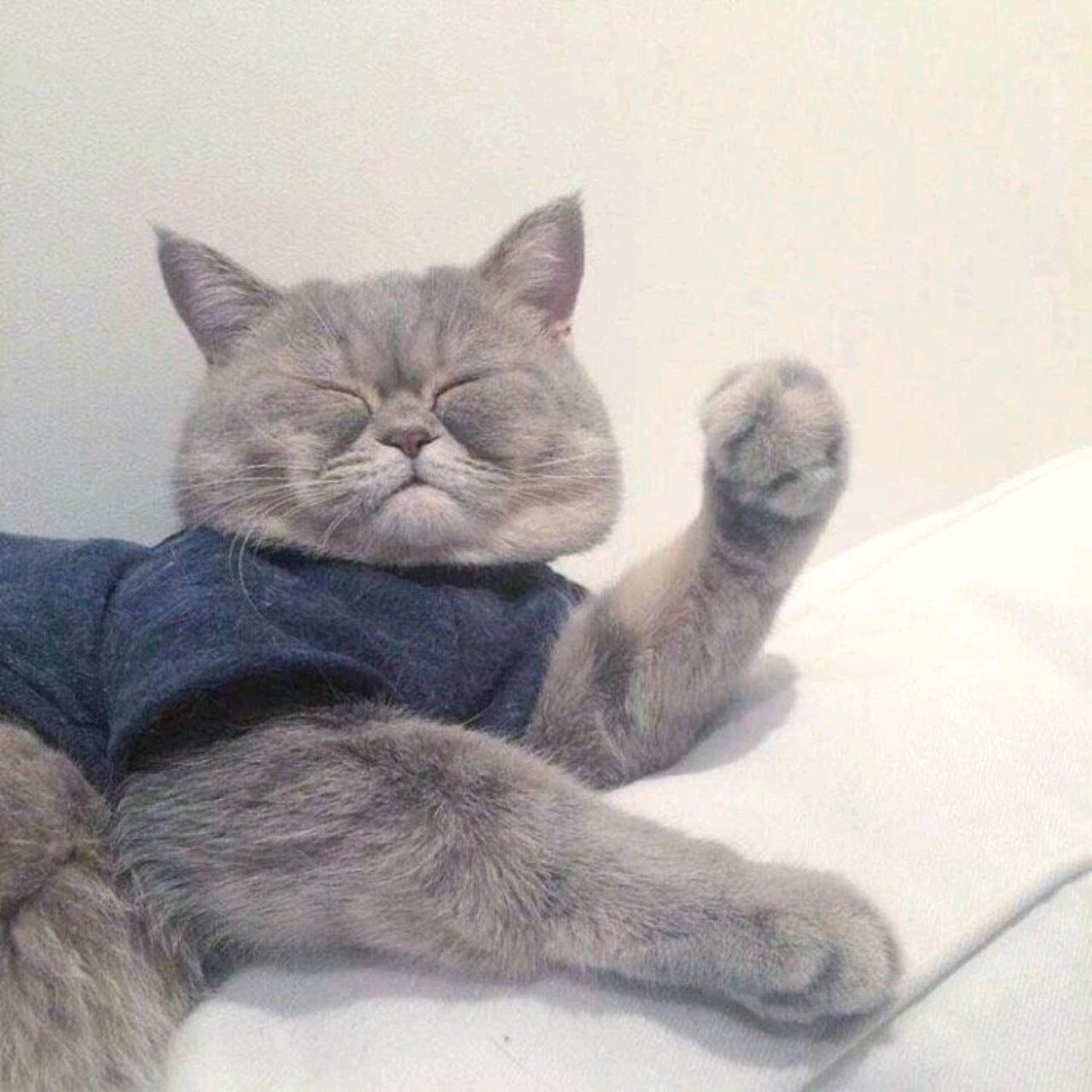 爱吃酸枣汤的哥哥