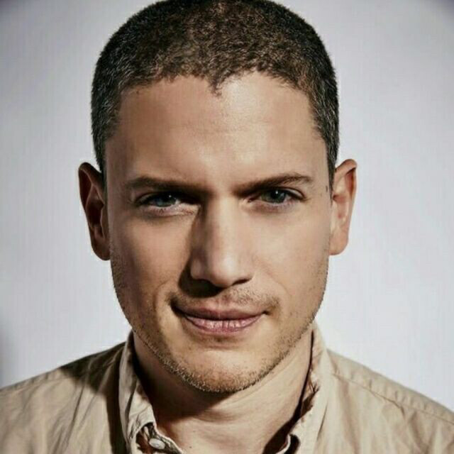 草绿色的圆筛藻属