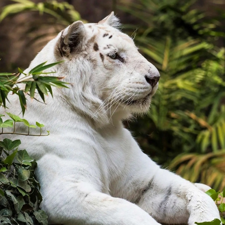 喜欢钓鱼的老王