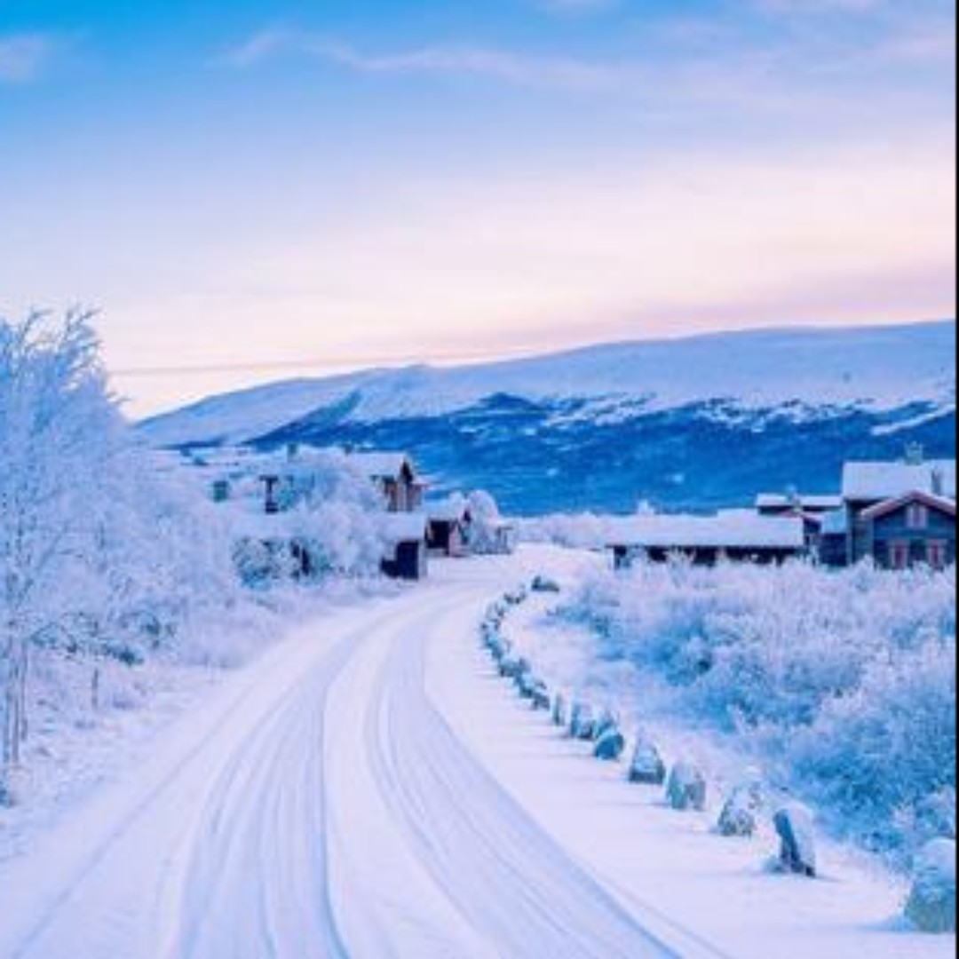 爱吃七喜排骨的海绵