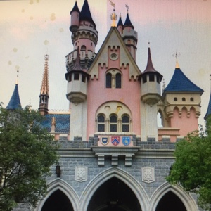 看见好的总想买