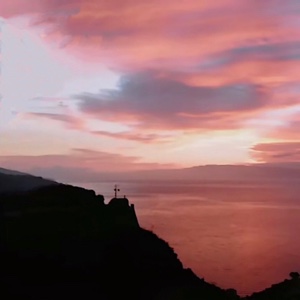 白日梦de萝卜丝的季