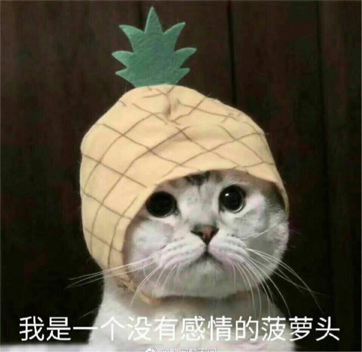 想起来取啥名字再换名吧