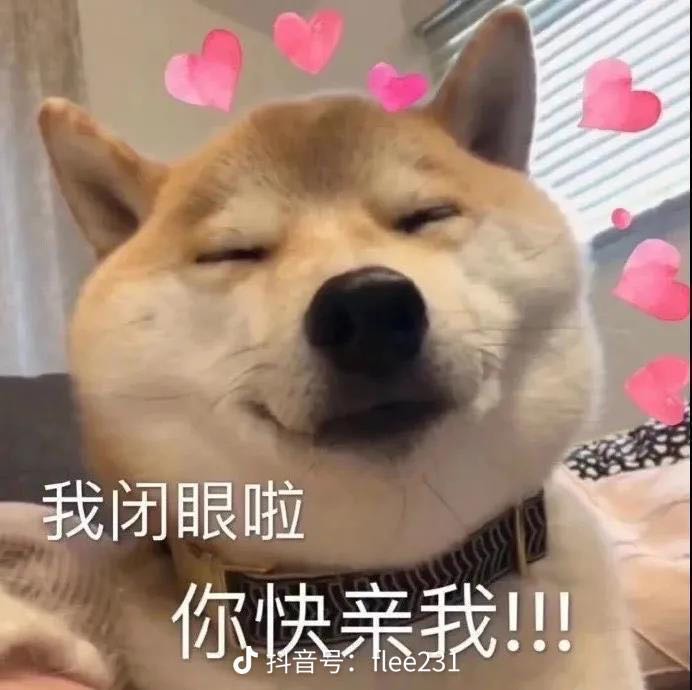 宝宝的可爱猪猪