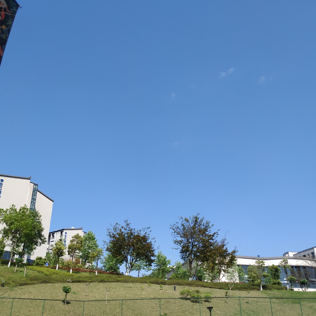 人不彪悍枉少年i2