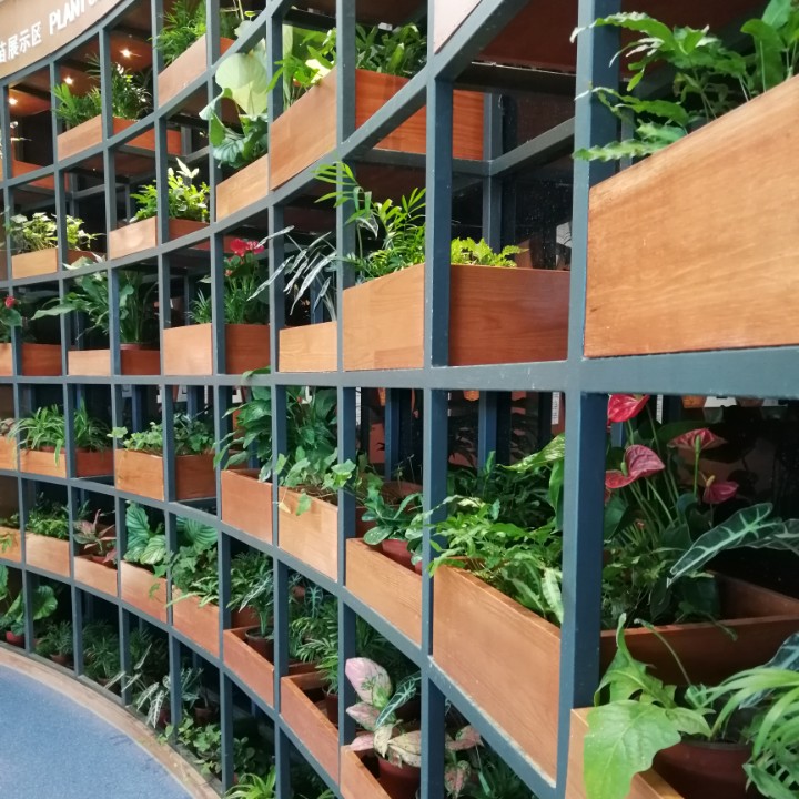 悠悠休闲有文化