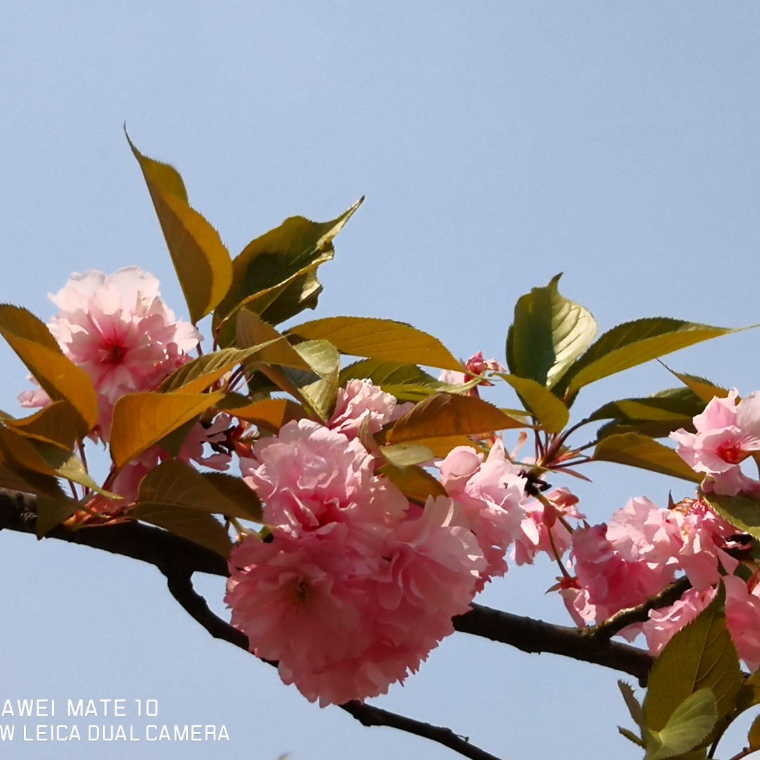 静静就是静静^-^