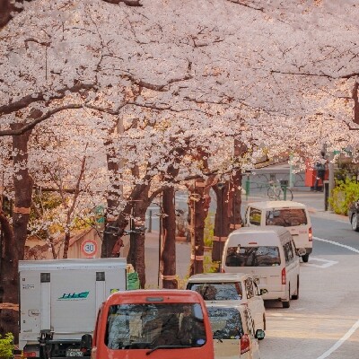 爱吃千张包肉的书签tb