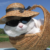 爱吃苹果的榴莲QwQ