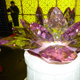 爱吃一品蟹汤的锦鲤an