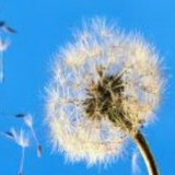 我就喜欢网上买东西