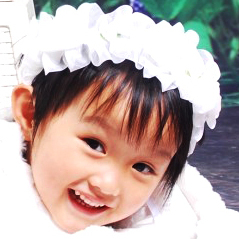 蓝色的错枝冬青