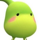 银白色的绿丰霸王