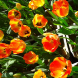 潇湘蓝欣很谦虚