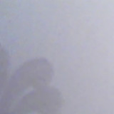 池鱼笼鸟磁共振