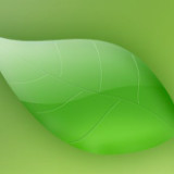 杏花弦外雨朦胧