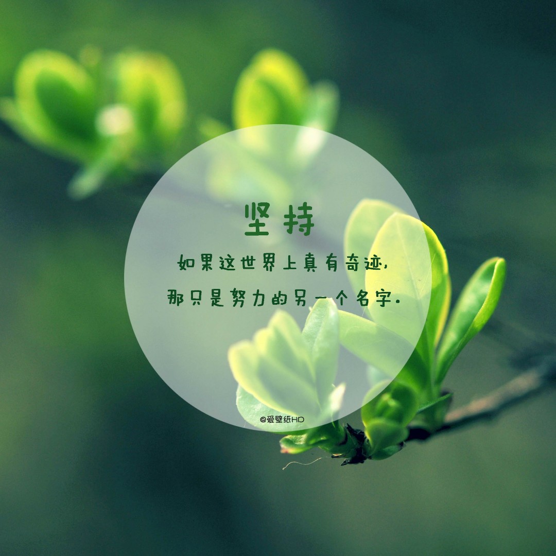 相亲相爱一家人803