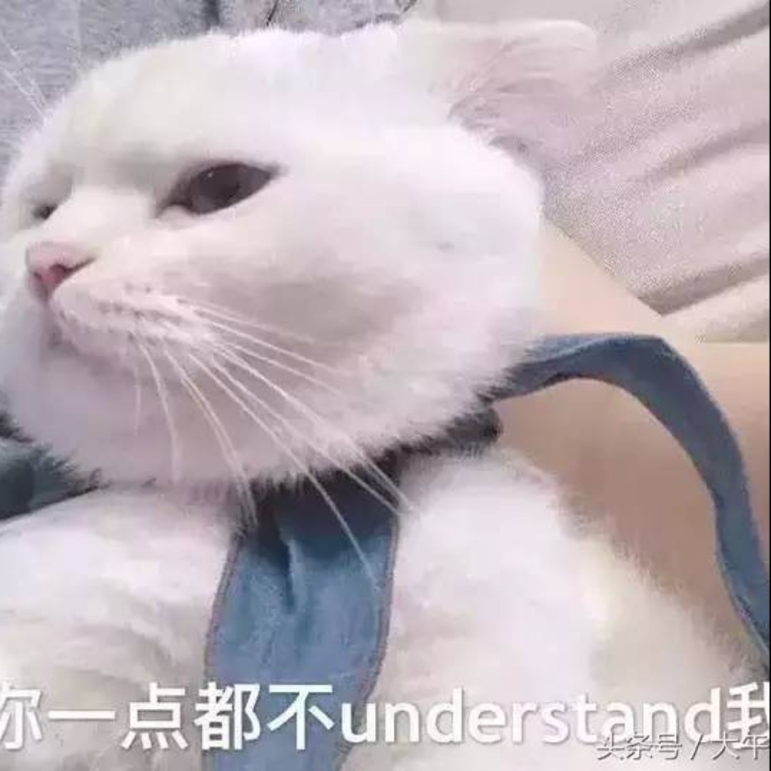 汤圆是个渣猫