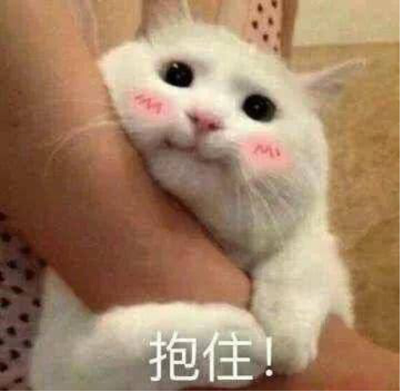 幻影星逃跑的胡桃