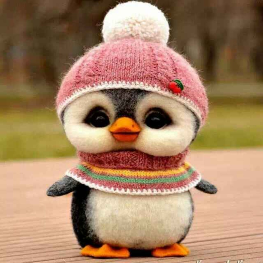 从哈士奇世界路过