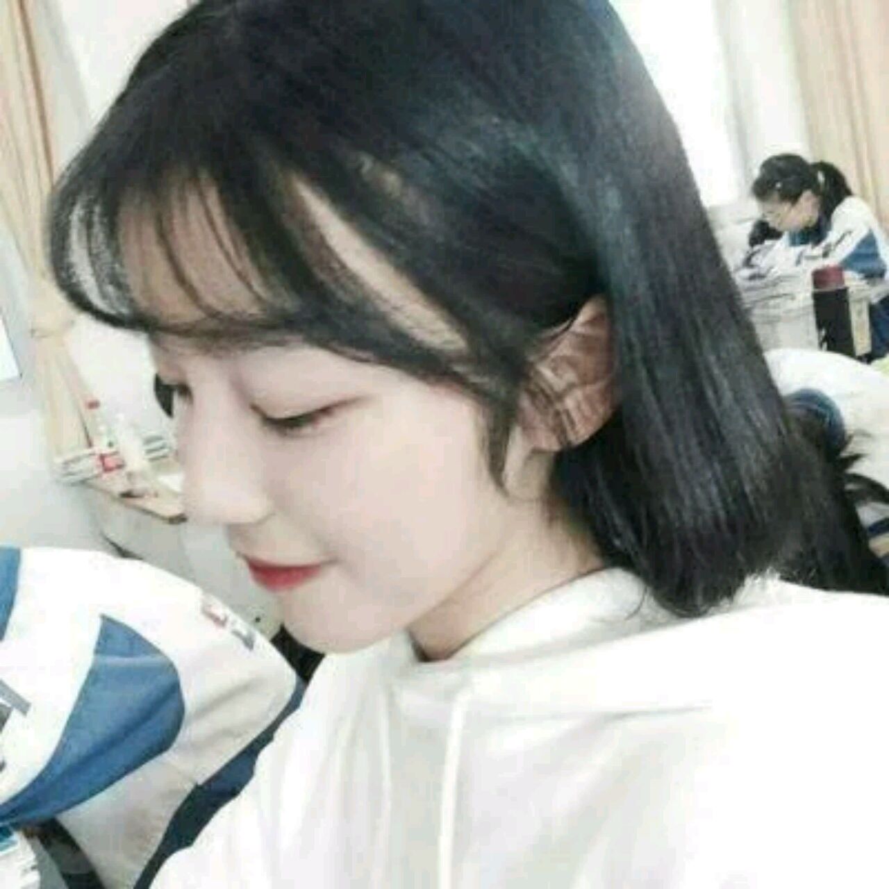 太白路划水的甜圈