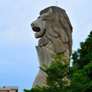 花海流连刘其东