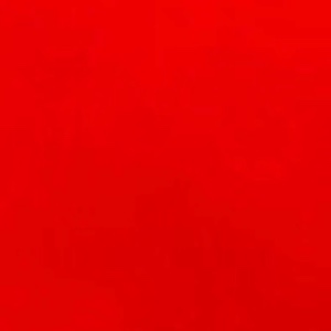 废柴废柴废柴废柴