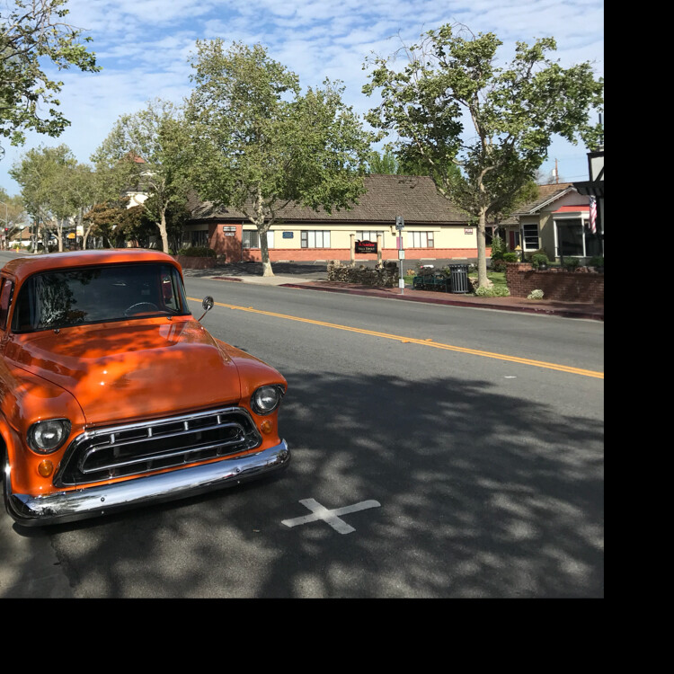 爱吃双色蒸糕的玉兰花的世