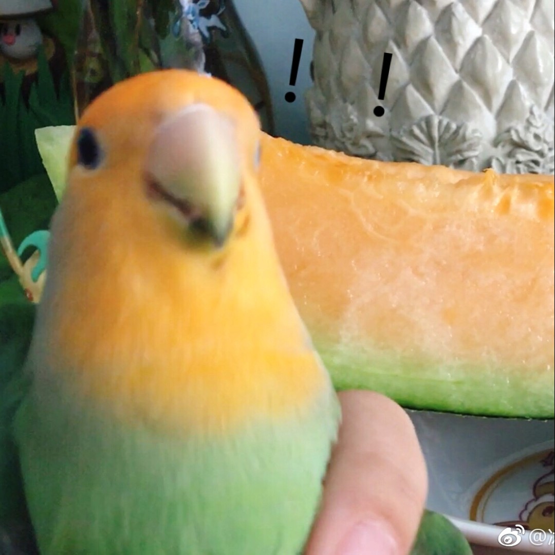 呆呆兽爱吃年糕