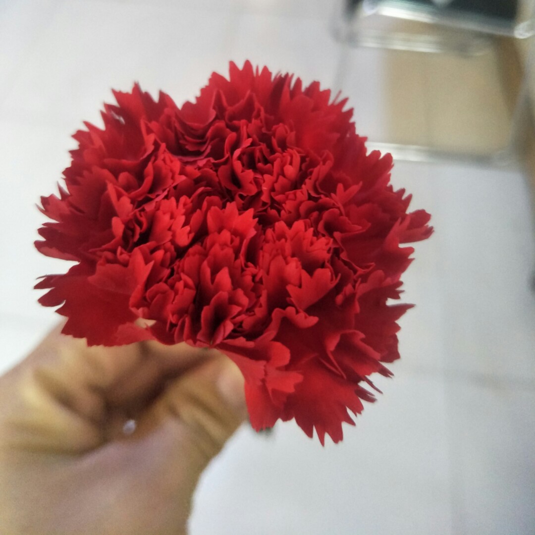 那个雨季不再来