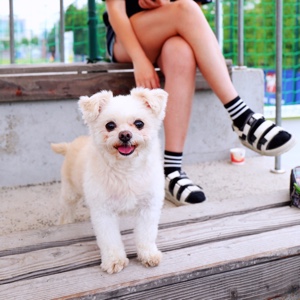 暴躁的多咯咯mami