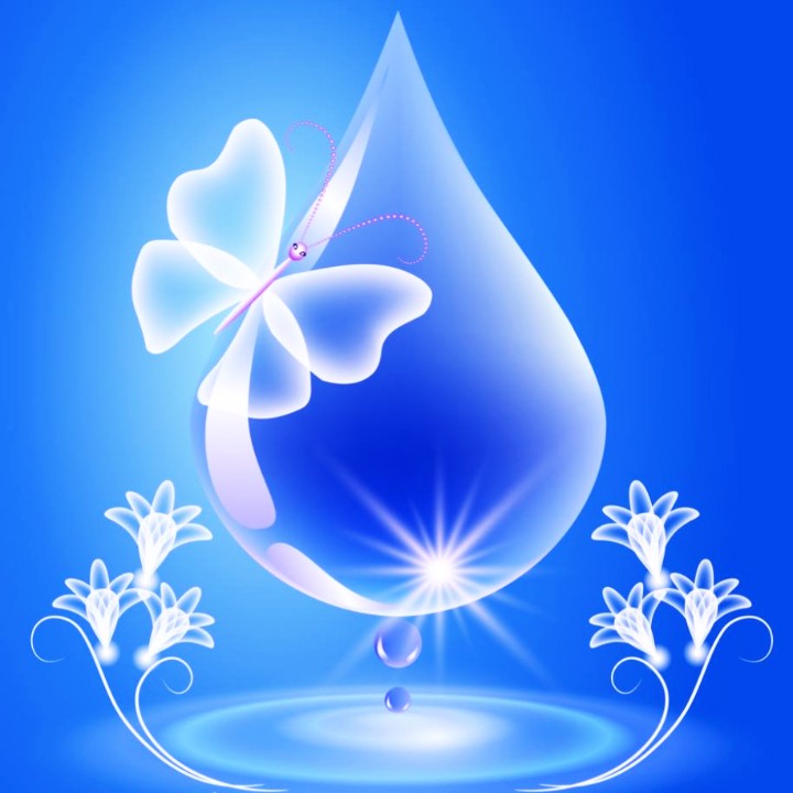 瑞美珂～小狐狸