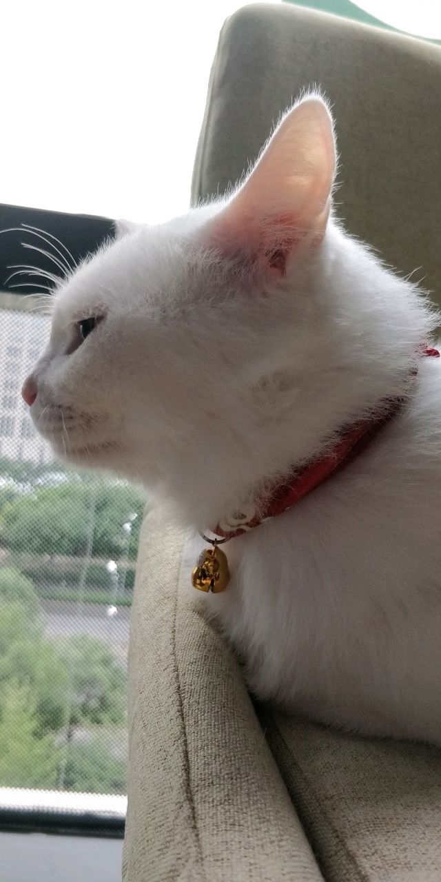 努力的无名之辈