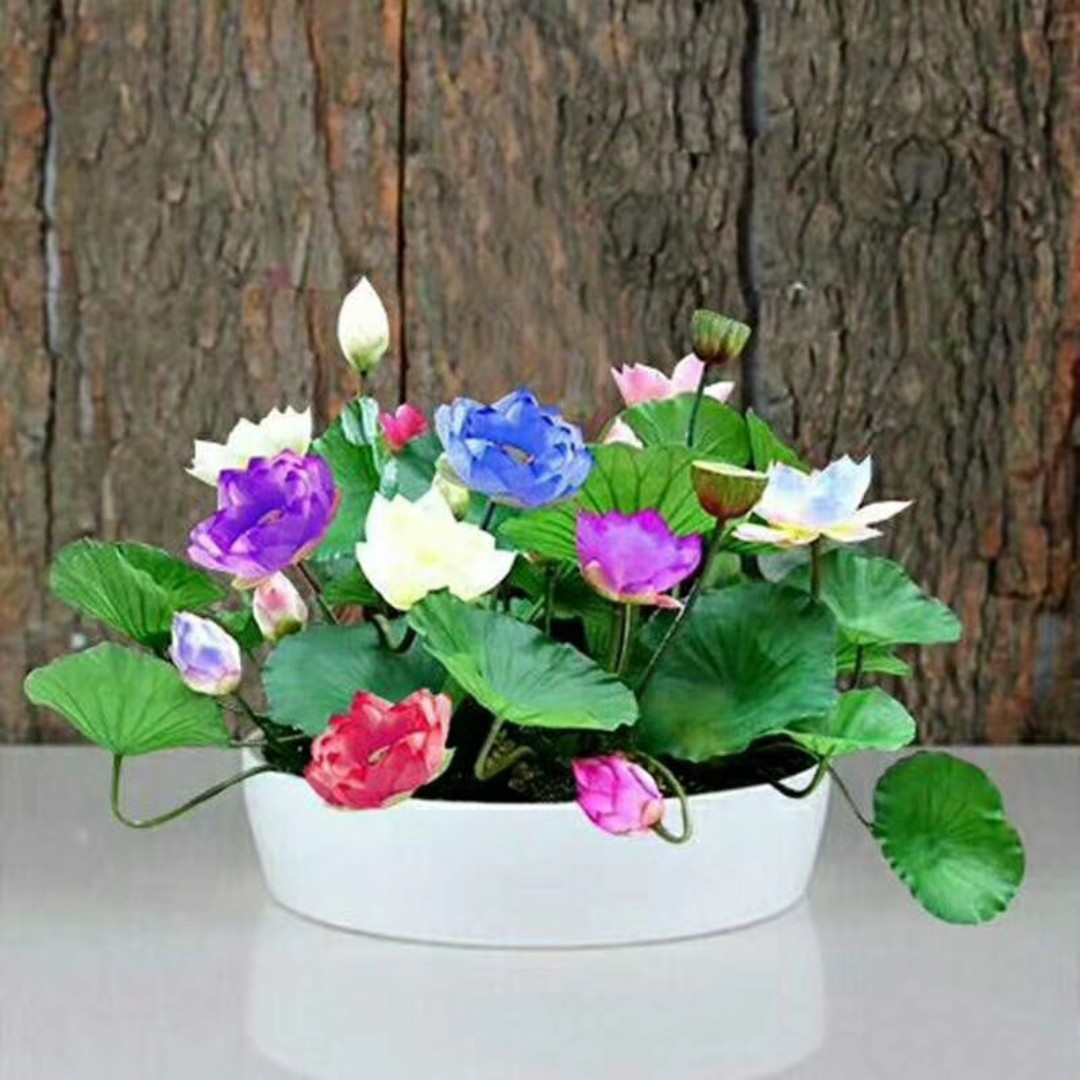 爱在心灵深处奥