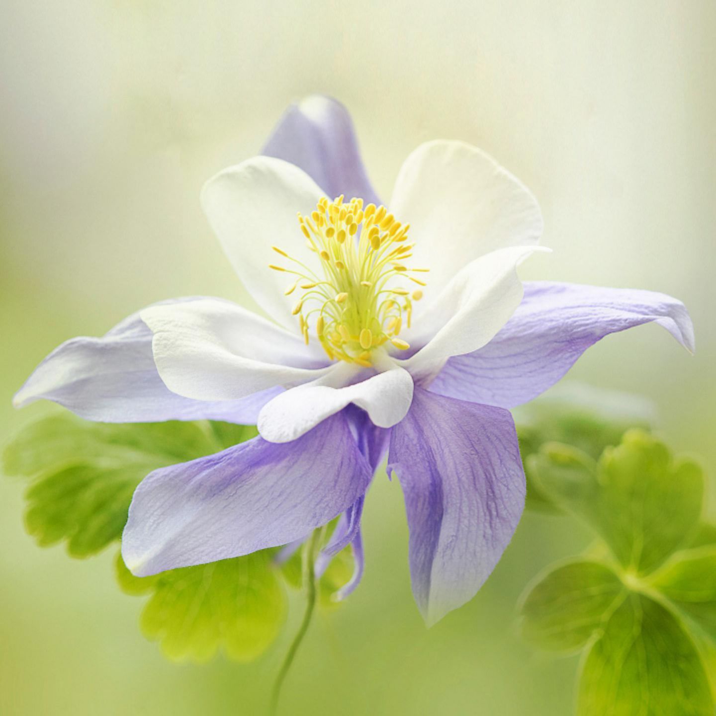 老胡看世界666666