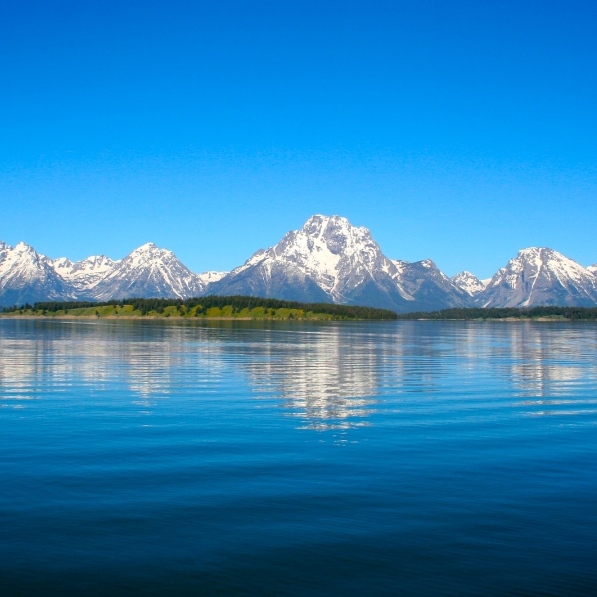 爱吃培根煎蛋的玉米