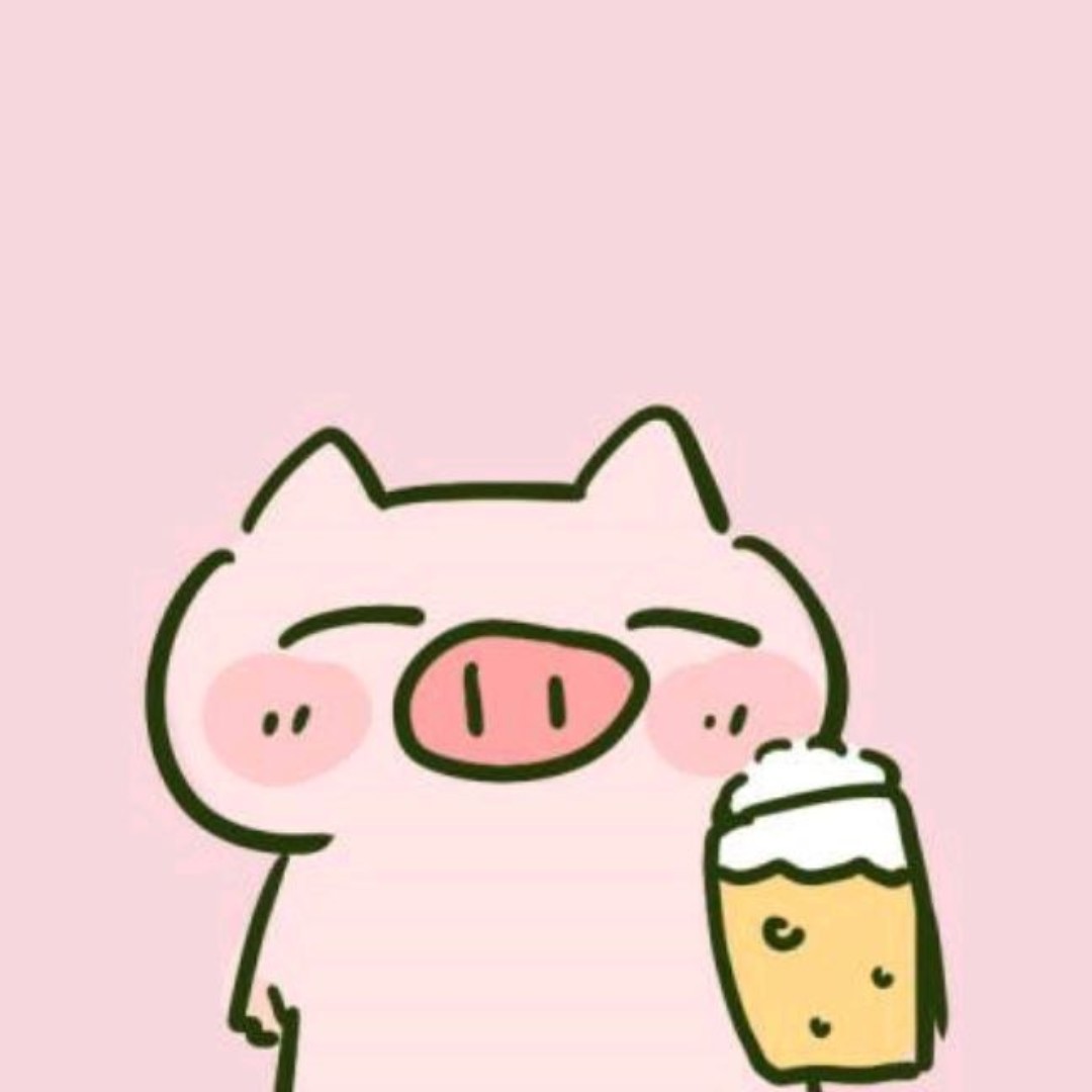 爱吃三丝炒面的双子座哈掏