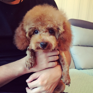 一涵妈咪爱的抱抱