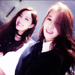 没有香菜真的不行