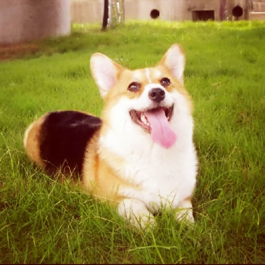 喝咖啡的回音岛12