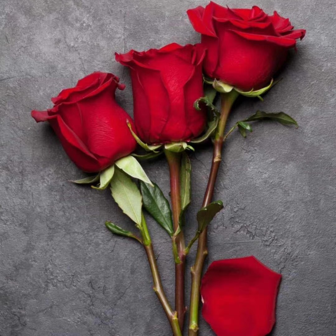 爱笑的楠更努力